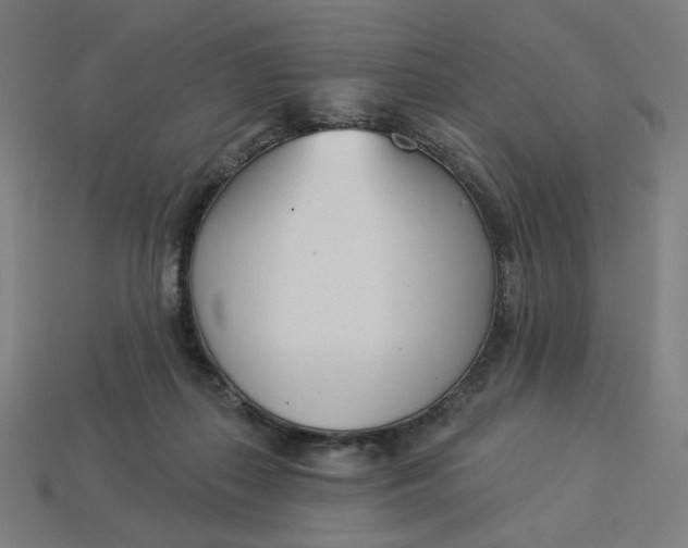 X0000113360267200910061046