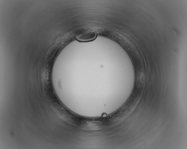 X0000113360268200910061046