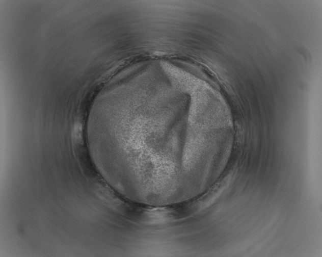 X0000113360269200910061046