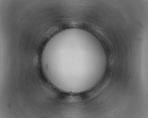 X0000113360270200910061046