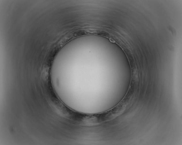 X0000113360271200910061046