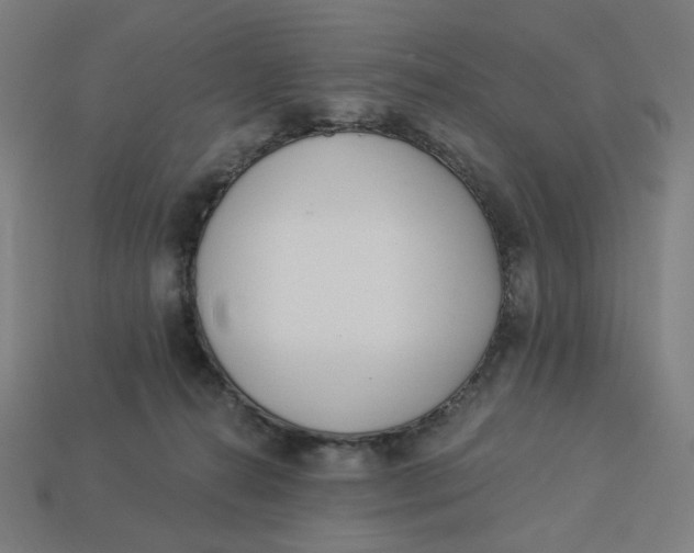 X0000113360272200910061046