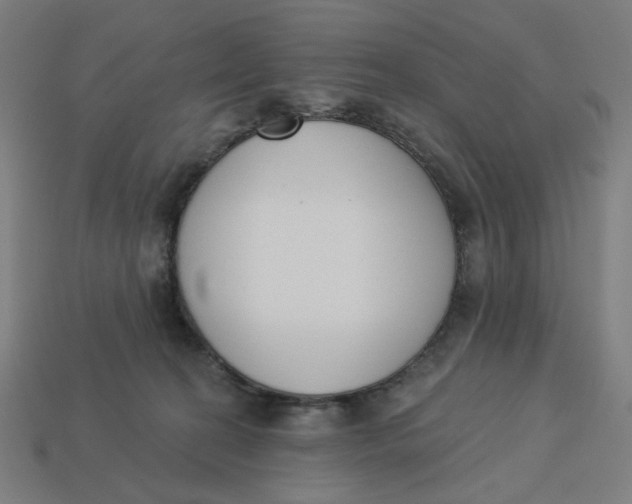 X0000113360274200910061046