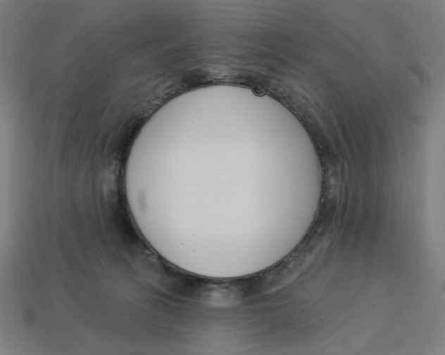 X0000113360275200910061046