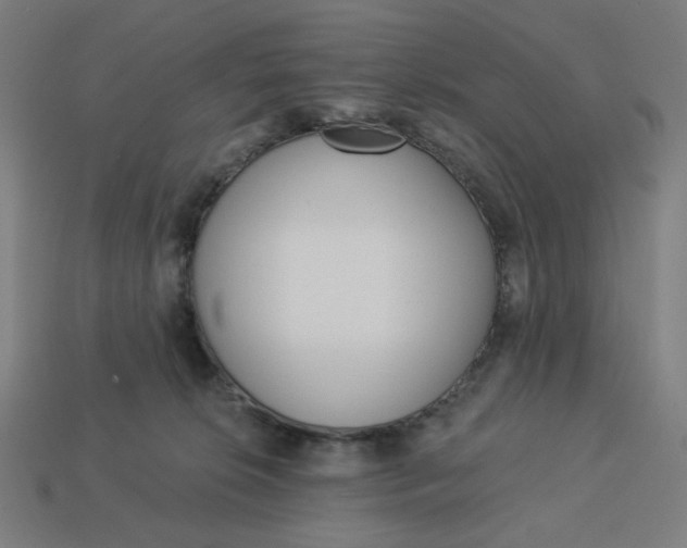 X0000113360276200910061046