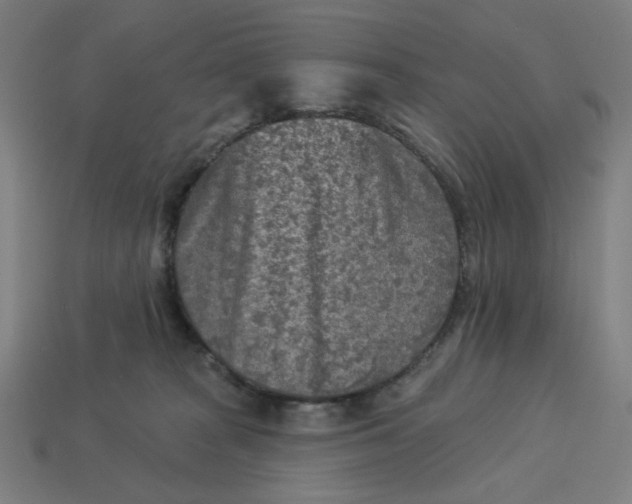 X0000113360277200910061046