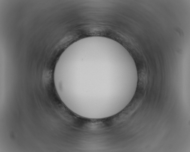 X0000113360278200910061046