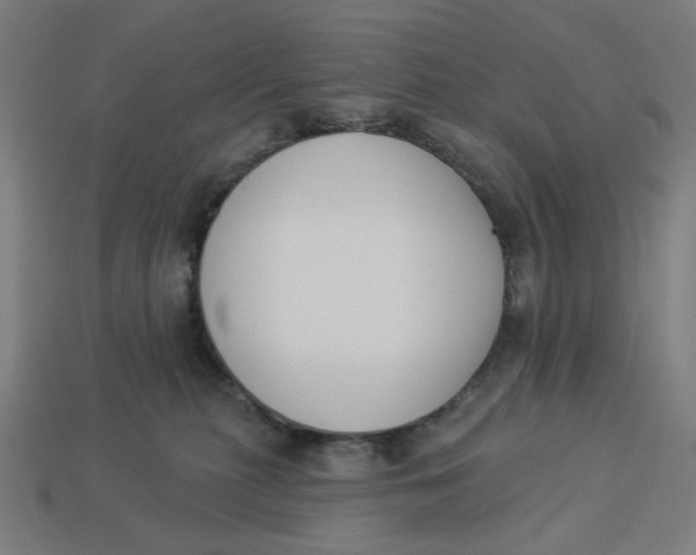 X0000113360279200910061046