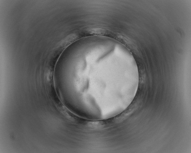 X0000113360281200910061046