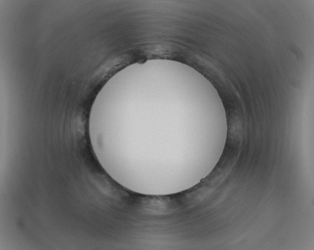 X0000113360282200910061046