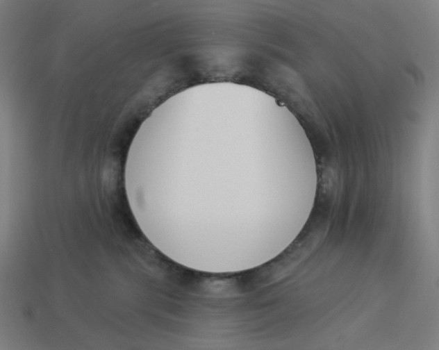 X0000113360283200910061046