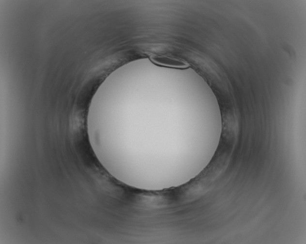 X0000113360284200910061046