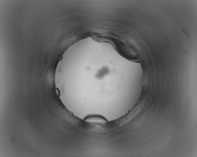 X0000113360285200910061046