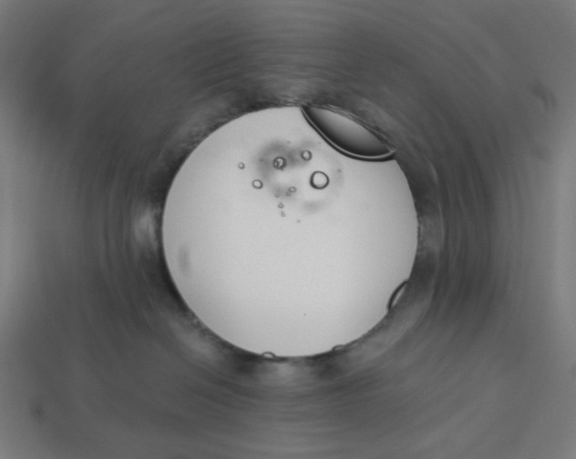 X0000113360286200910061046