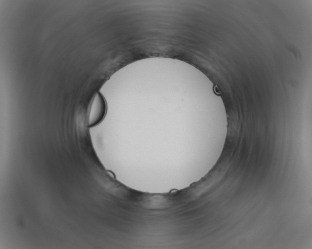 X0000113360287200910061046