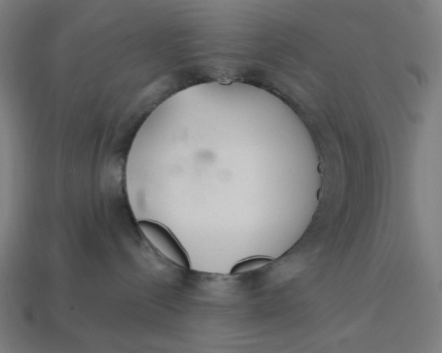 X0000113360288200910061046