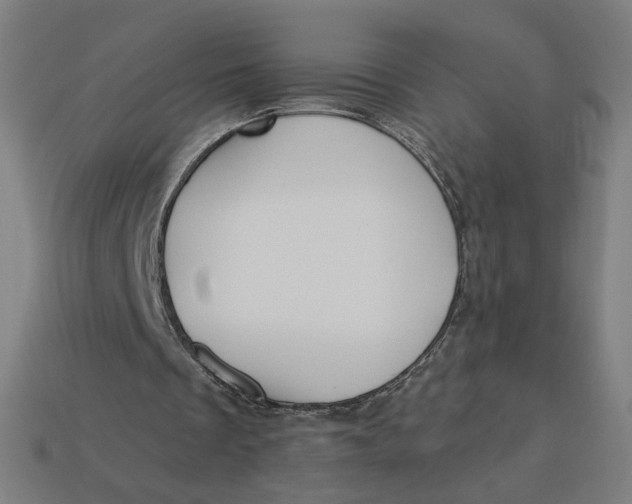 X0000113360289200910061046