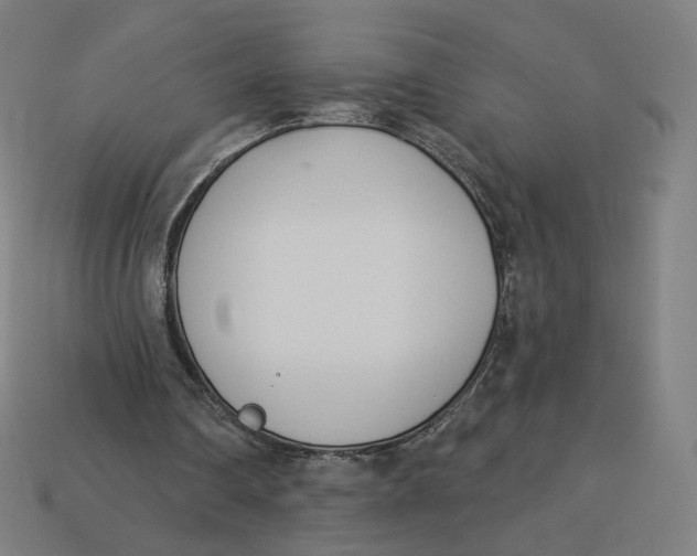 X0000113360290200910061046