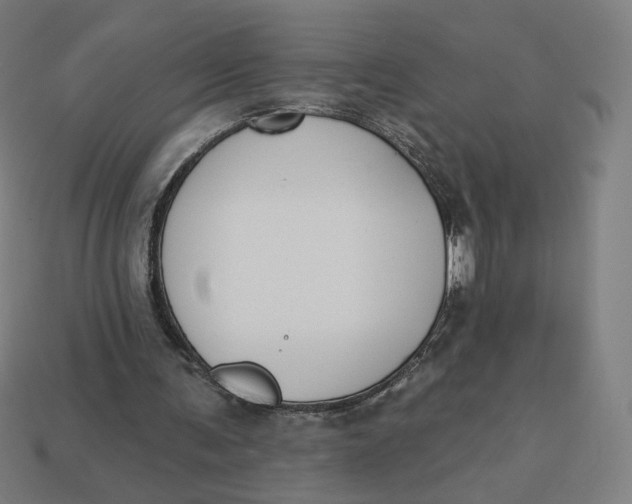 X0000113360291200910061045