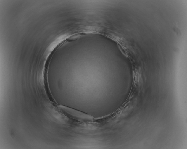 X0000113360292200910061045