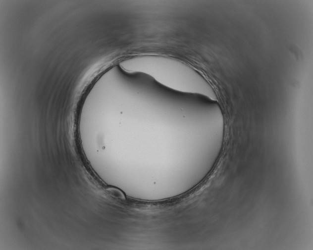 X0000113360293200910061045