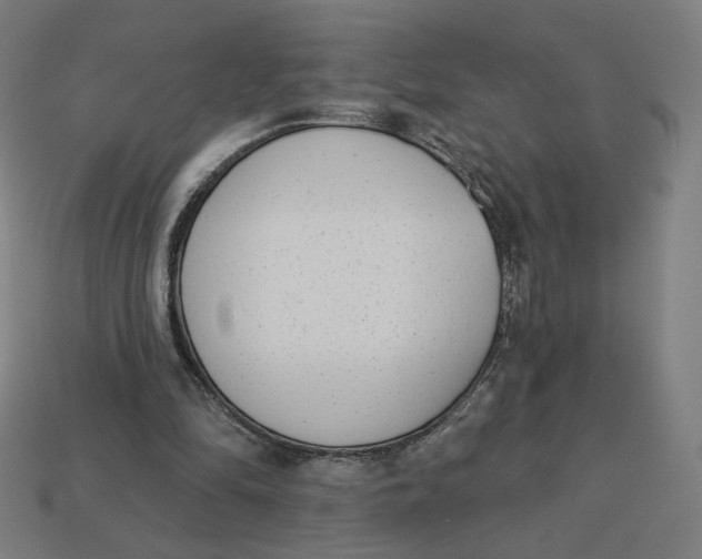 X0000113360294200910061045