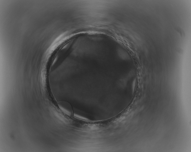 X0000113360295200910061045