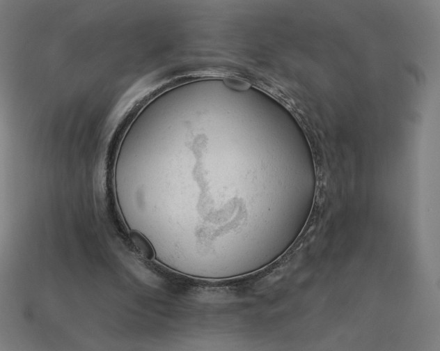 X0000113360296200910061045