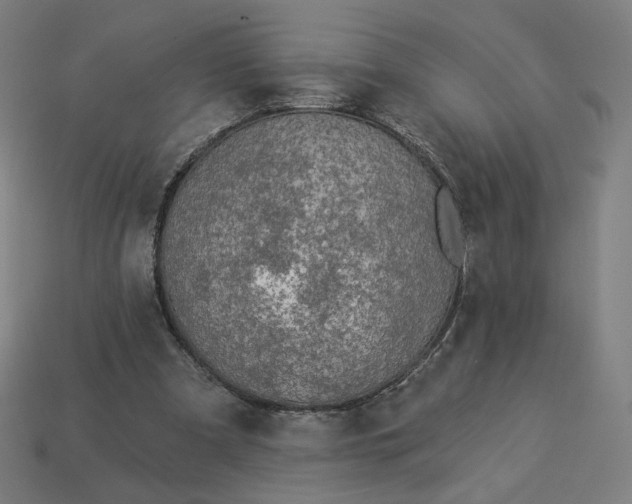 X0000113360297200910061045