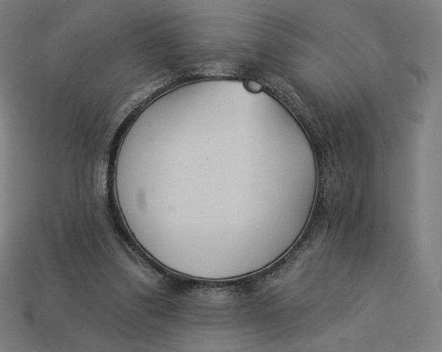 X0000113360299200910061045