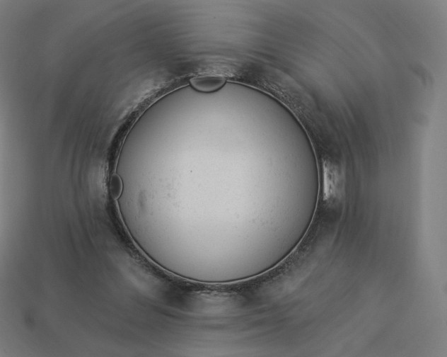 X0000113360300200910061045