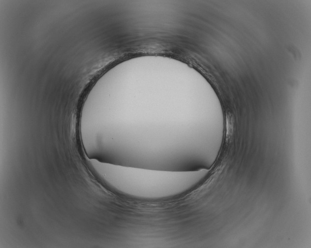 X0000113360301200910061045