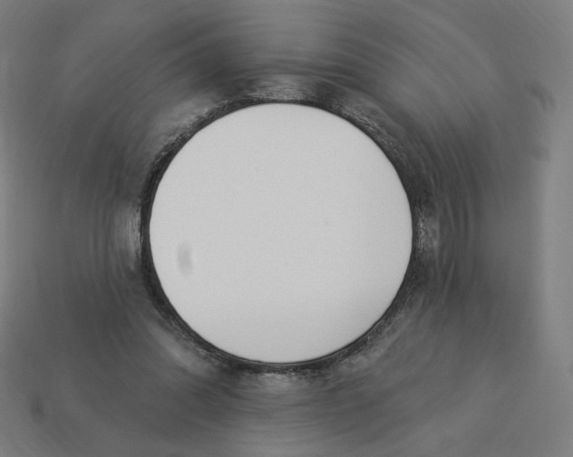 X0000113360302200910061045