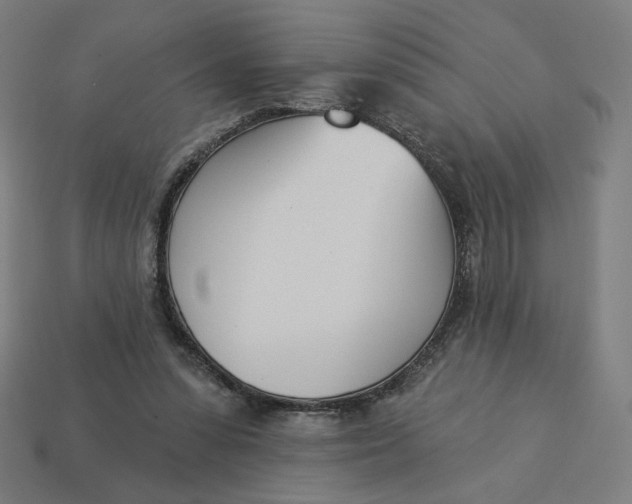 X0000113360303200910061045