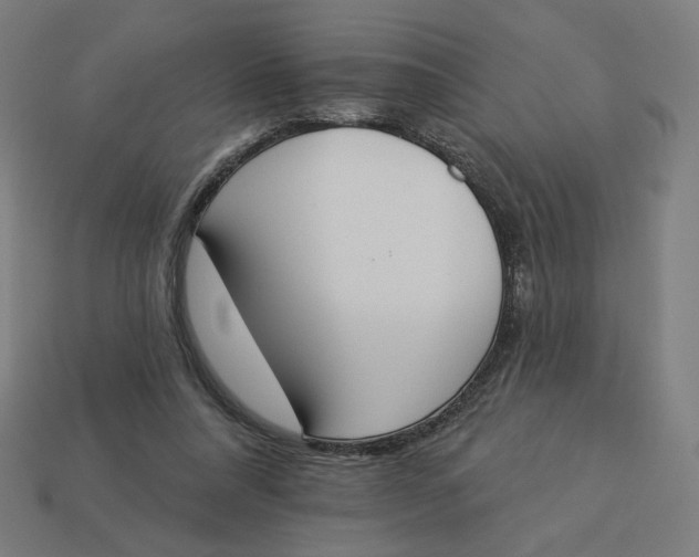 X0000113360304200910061045