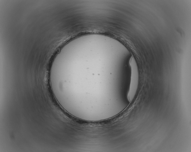 X0000113360305200910061045