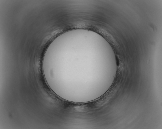 X0000113360306200910061045