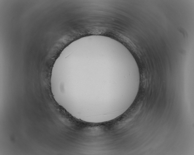 X0000113360307200910061045