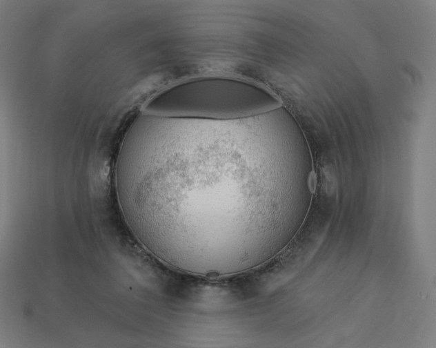 X0000113360308200910061045