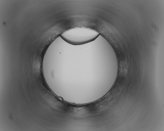 X0000113360309200910061045