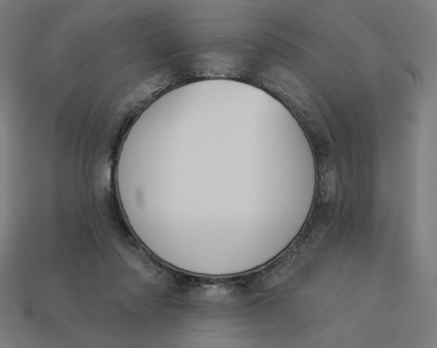 X0000113360310200910061045