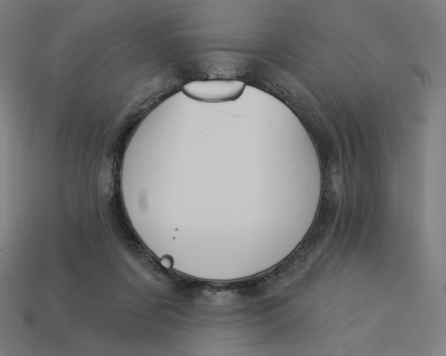 X0000113360311200910061045