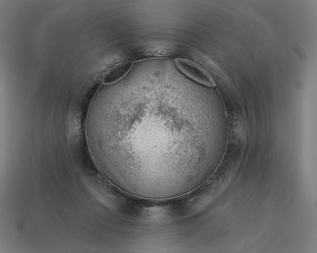 X0000113360312200910061045