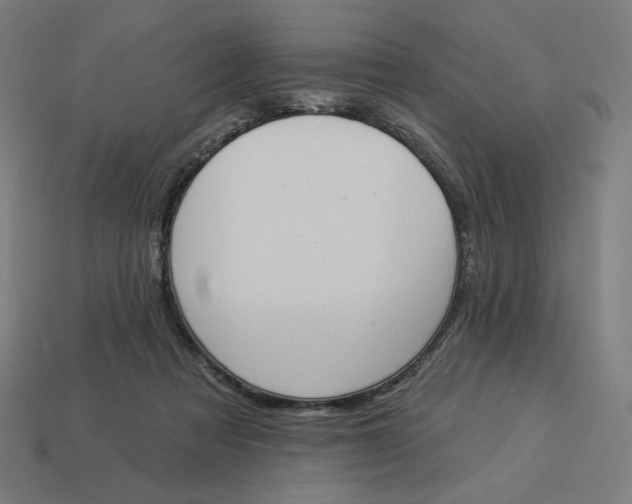 X0000113360313200910061045