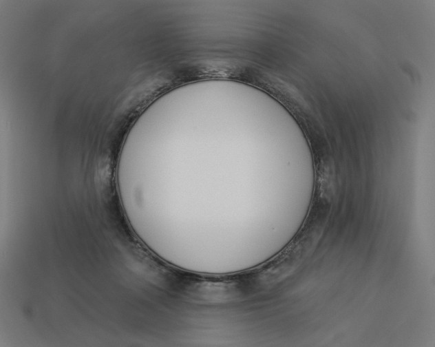 X0000113360314200910061045