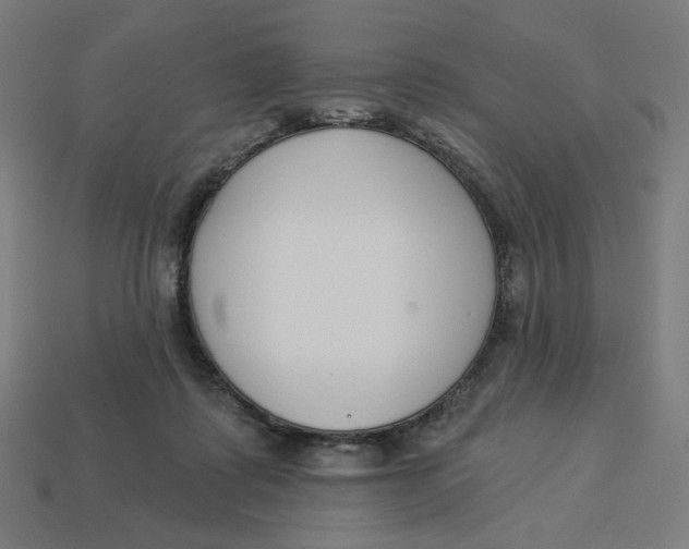 X0000113360315200910061045