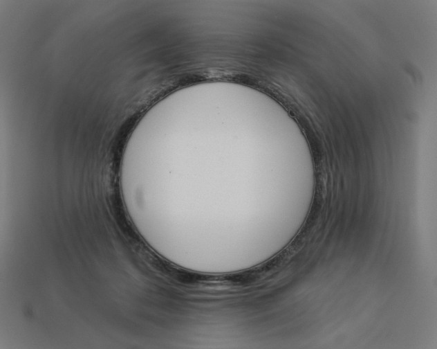 X0000113360316200910061045