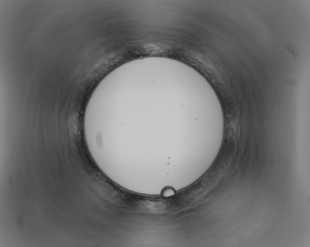 X0000113360317200910061045