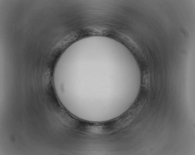 X0000113360318200910061045