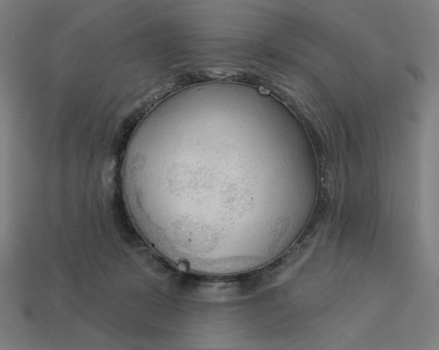 X0000113360319200910061045